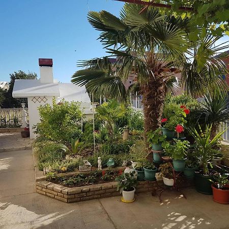 Apartmani Slavica بيوغْغاد نا موغو المظهر الخارجي الصورة